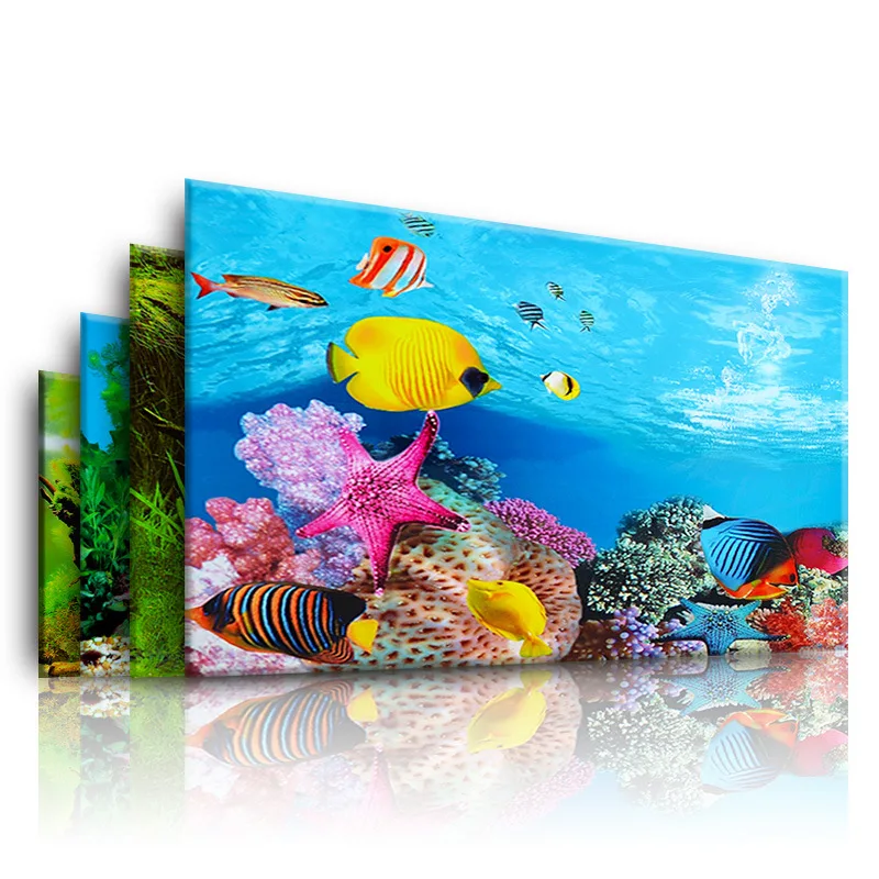 Aquarium Fish Poster - Nền Cho Bể Cá 3d Dán