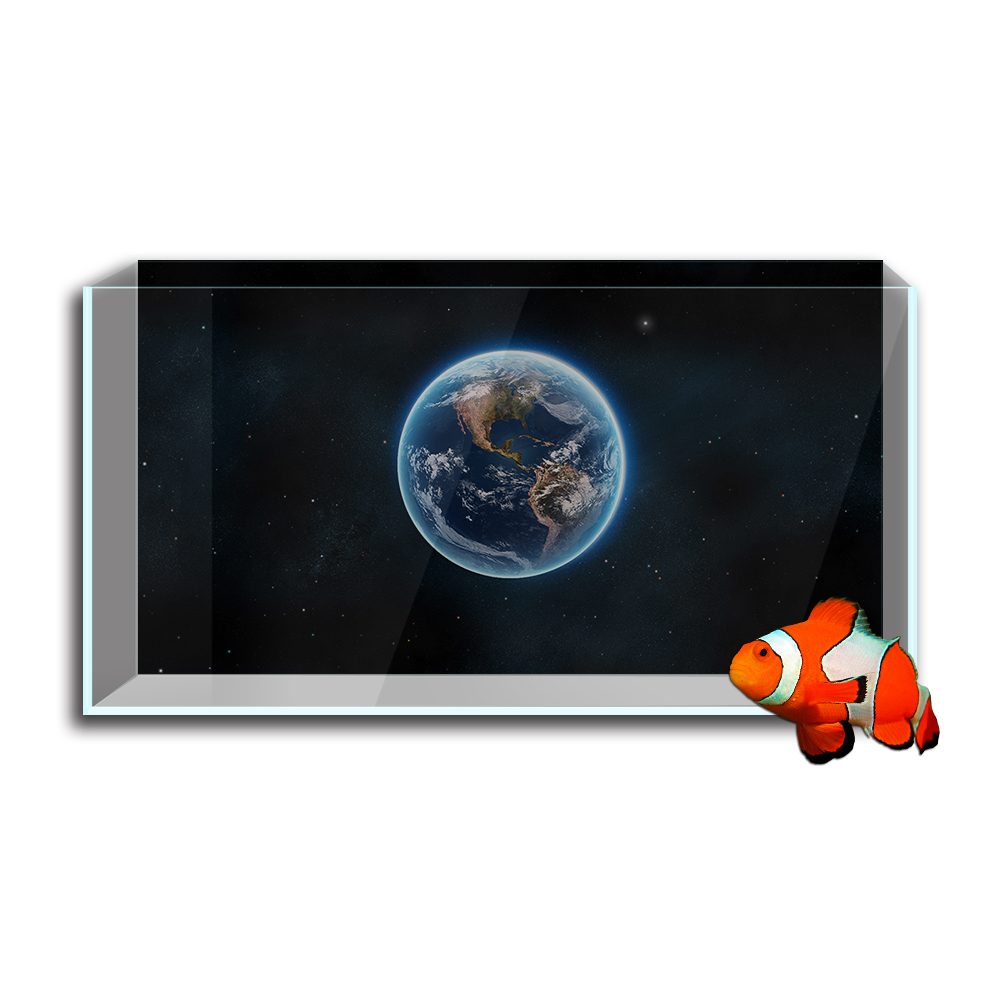 Hồ Cá Cá Nền Miếng Dán, Trái Đ - đánh giá và giá Aquarium Fish Poster
