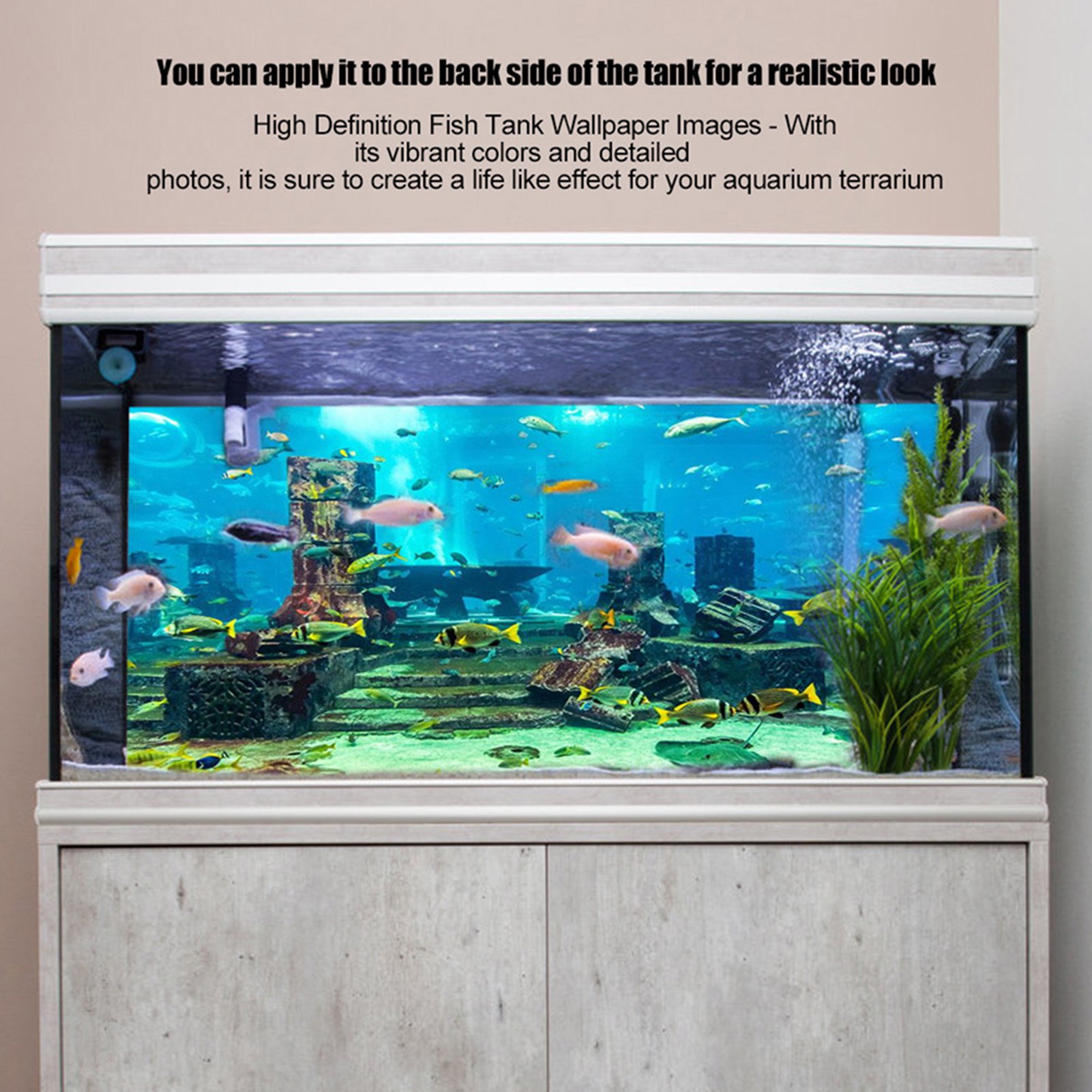 ZK20 Coral Aquarium Background - đánh giá và giá Aquarium Fish Poster