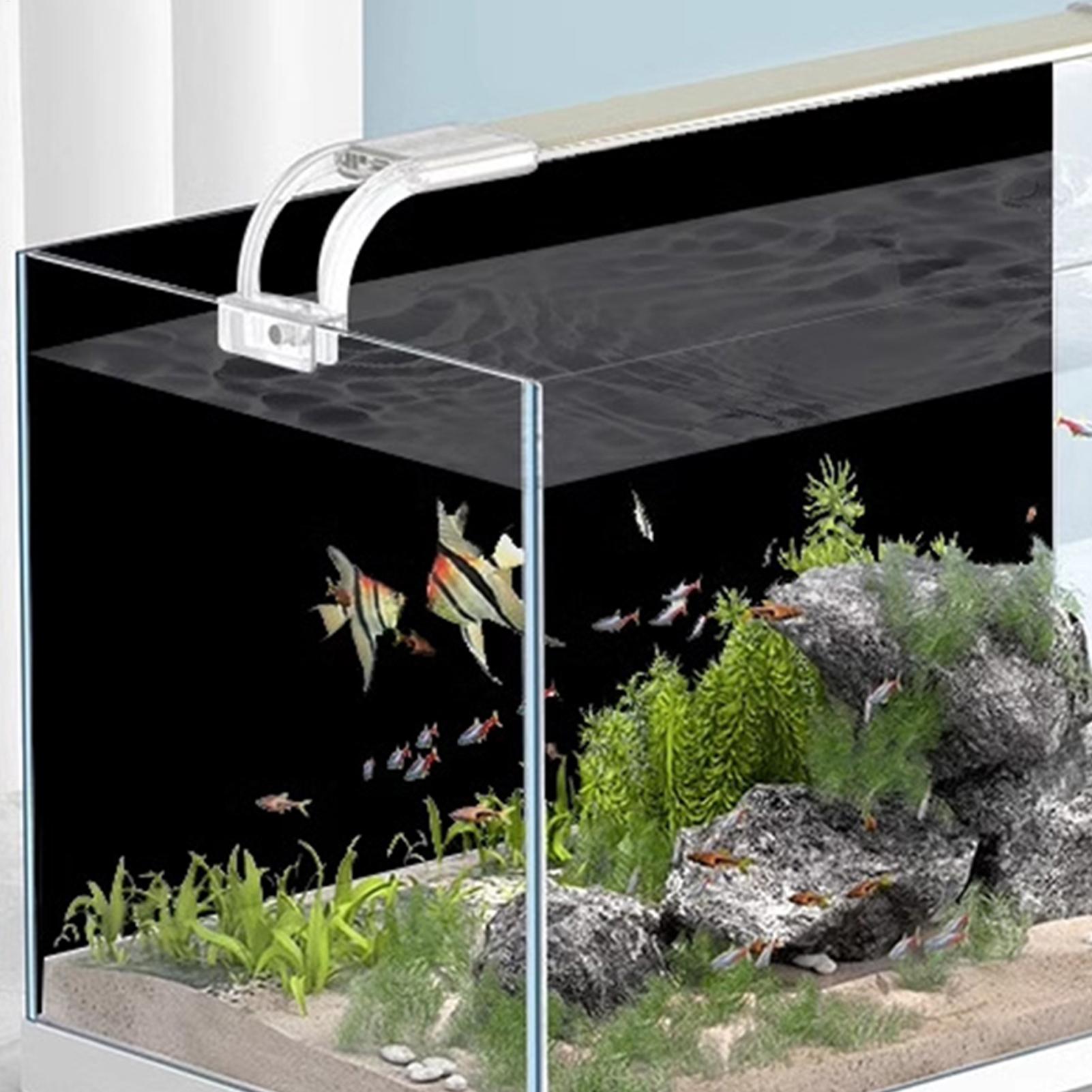 Fish Tank Background Static Cl - đánh giá và giá Aquarium Fish Poster