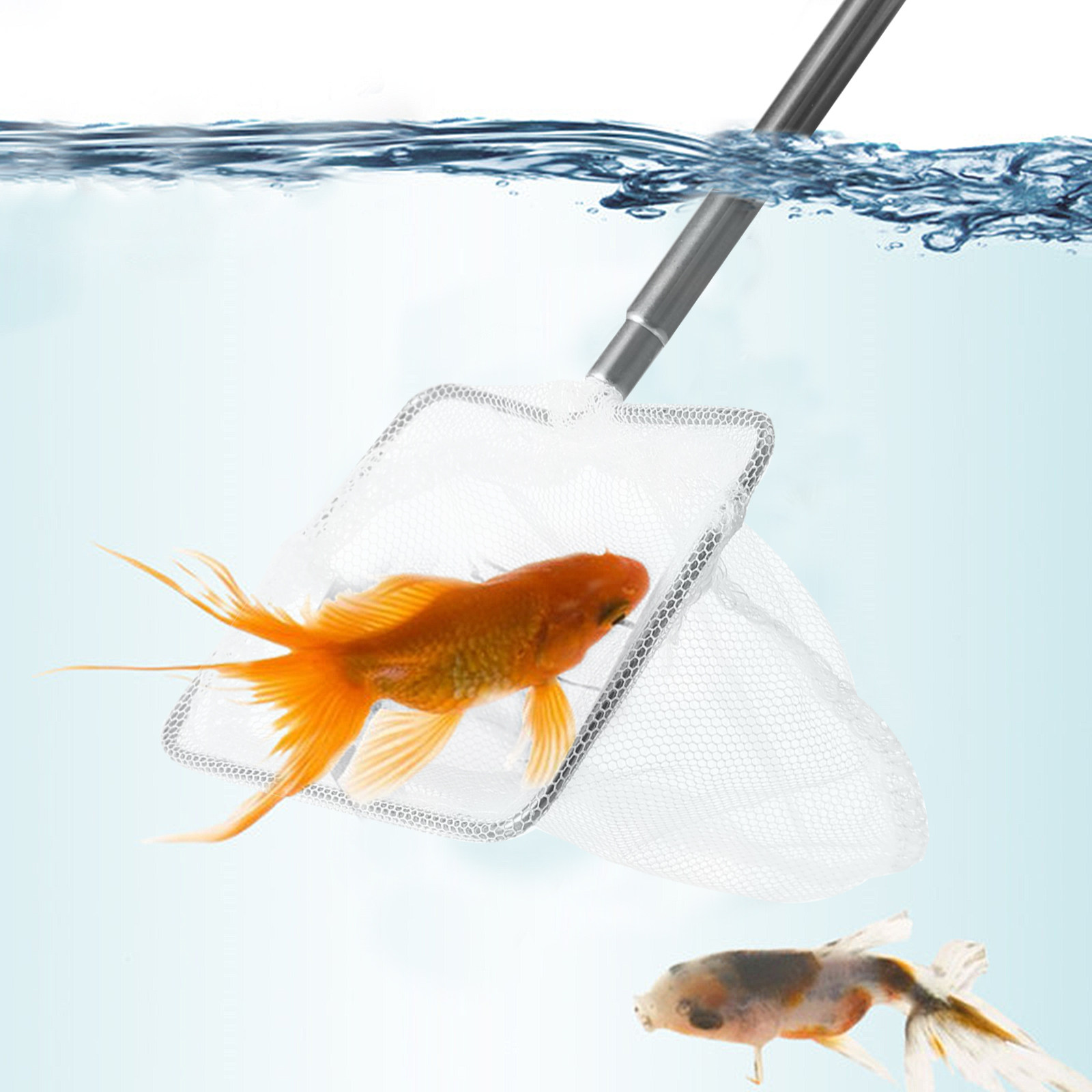 Stainless Steel Small Fish Aqu - đánh giá và giá Aquarium Fish Net Small