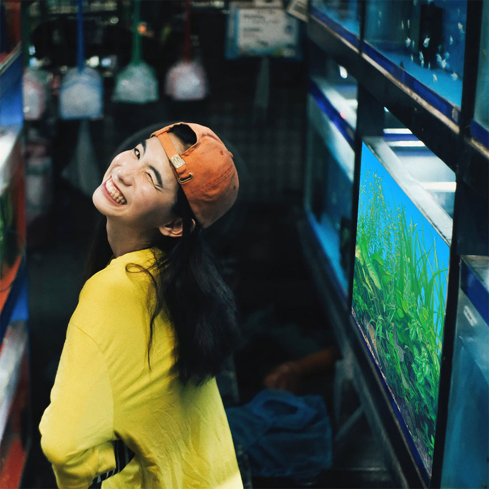 Fish Tank Background Paper Thi - đánh giá và giá Aquarium Fish Poster