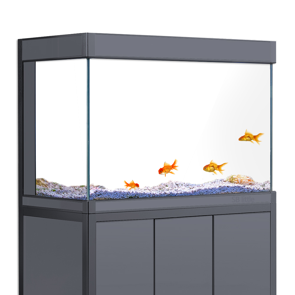 Aquarium Background Static Cli - đánh giá và giá Aquarium Fish Poster