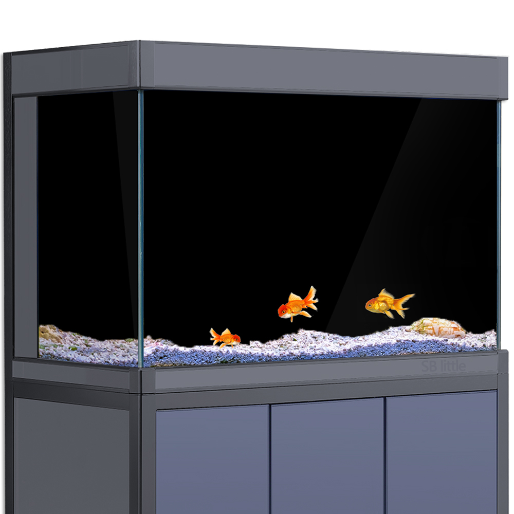 Aquarium Background Static Cli - đánh giá và giá Aquarium Fish Poster