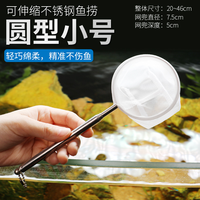 Stainless Steel Retractable Aq - đánh giá và giá Aquarium Fish Net Small