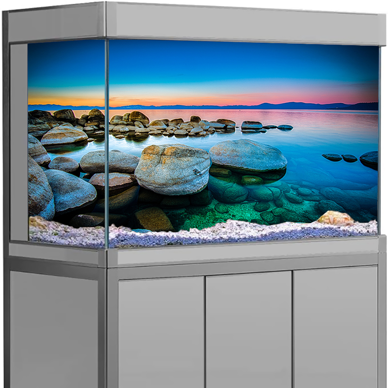 Aquarium Background Sticker St - đánh giá và giá Aquarium Fish Poster