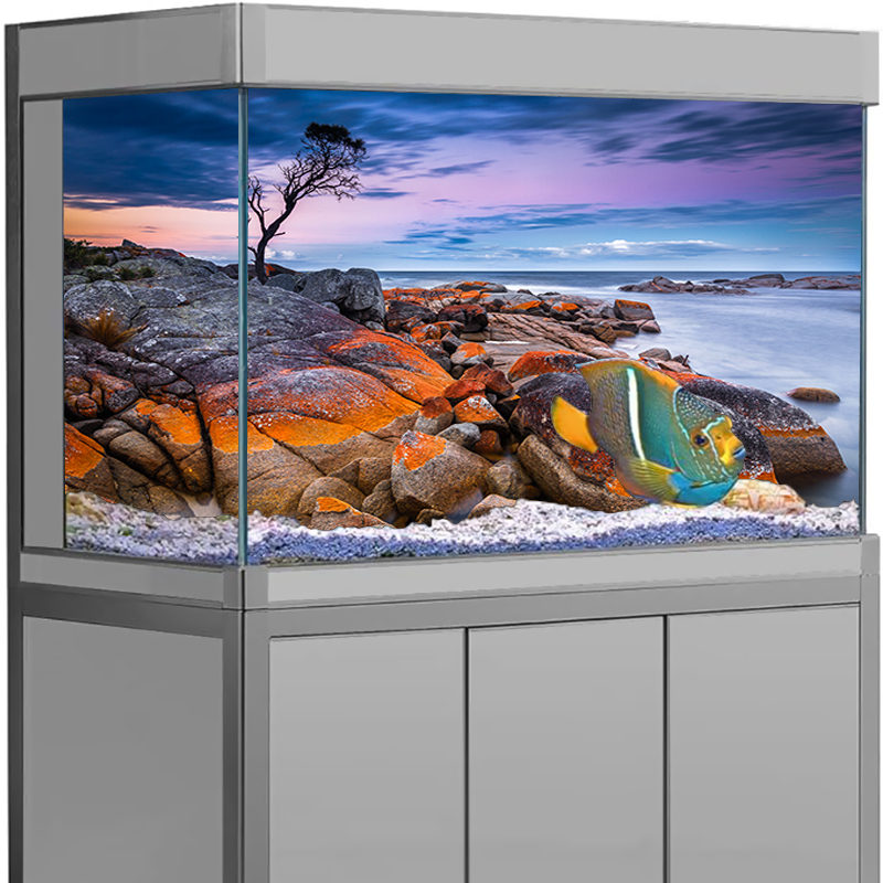 Aquarium Background Sticker St - đánh giá và giá Aquarium Fish Poster