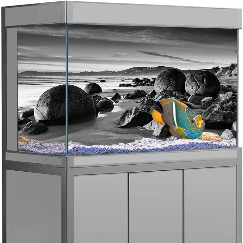 Aquarium Background Sticker St - đánh giá và giá Aquarium Fish Poster