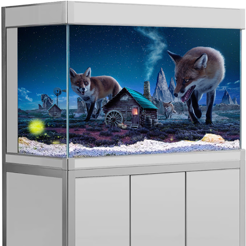 Aquarium Background Sticker My - đánh giá và giá Aquarium Fish Poster