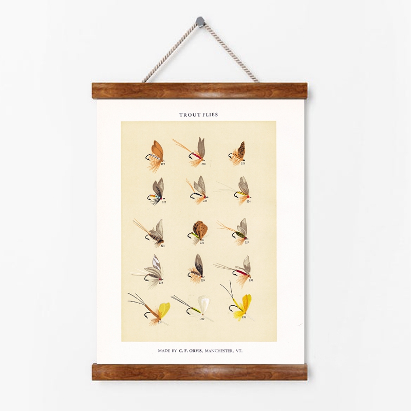 Câu Cá Từ 19 Thế Kỷ Vintage Po - đánh giá và giá Aquarium Fish Poster