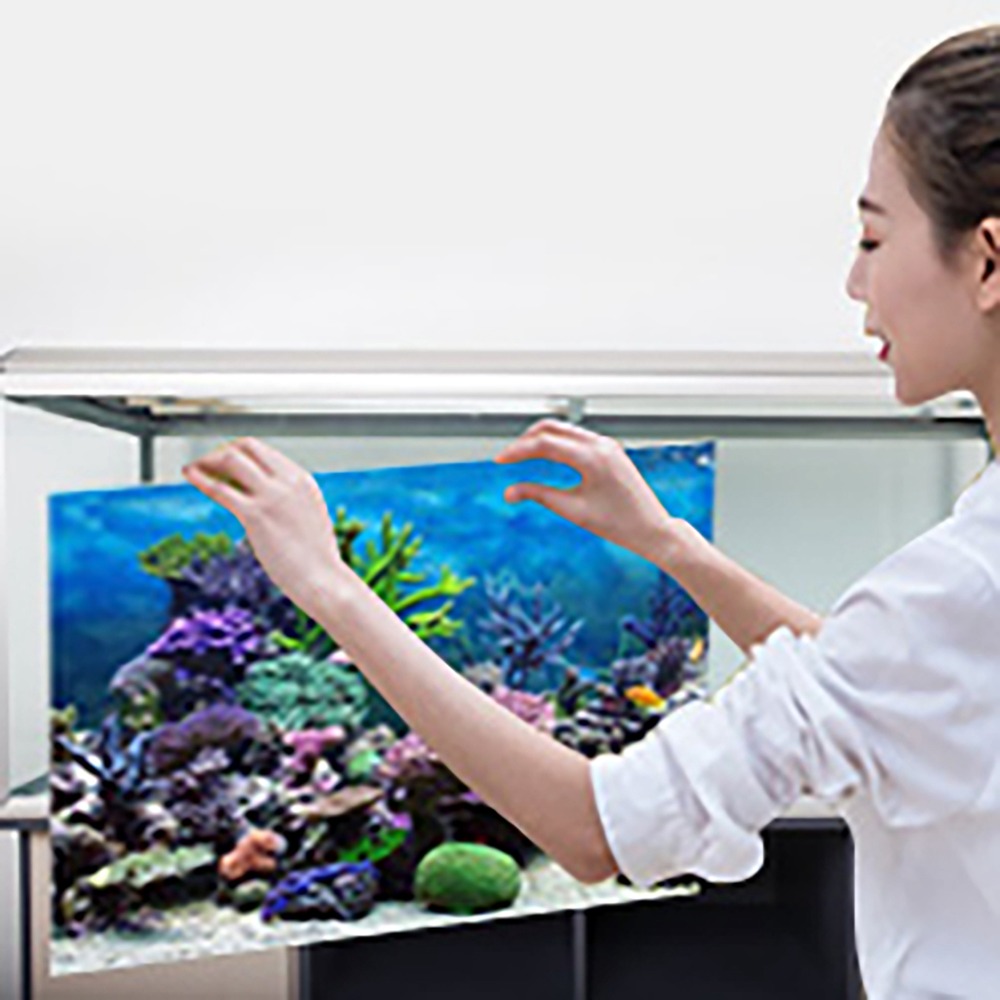 PVC Aquarium Background Poster - đánh giá và giá Aquarium Fish Poster