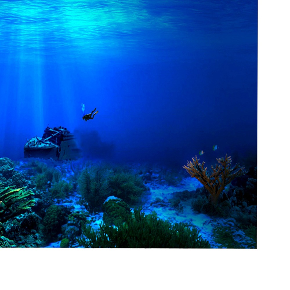 PVC Aquarium Background Poster - đánh giá và giá Aquarium Fish Poster