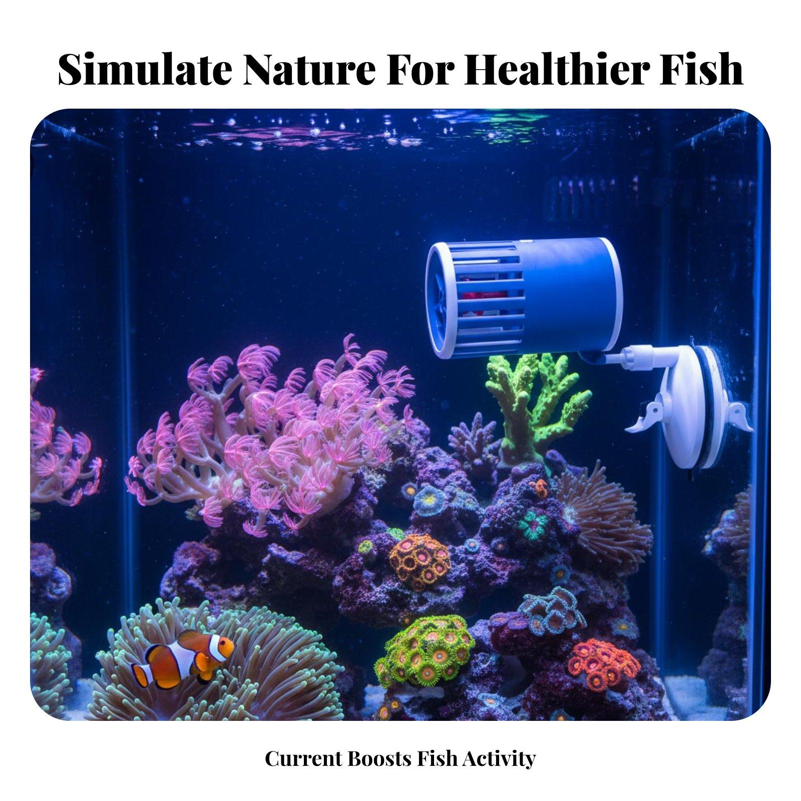 Fish Tank Wave Maker Submersib - đánh giá và giá Aquarium Fish Rate