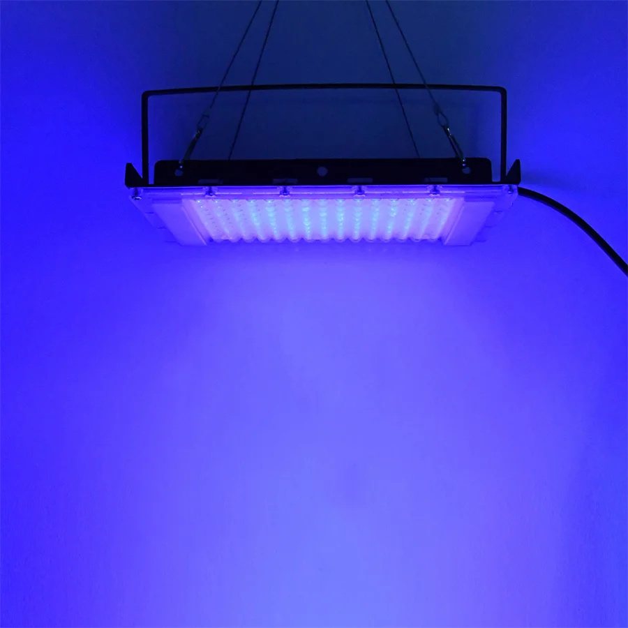 300W UV 395nm Black Light Ultr - đánh giá và giá Aquarium Fish Poster